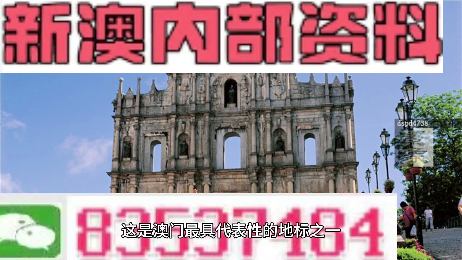 新澳精选资料免费提供,实时处理解答计划_奢华版81.667