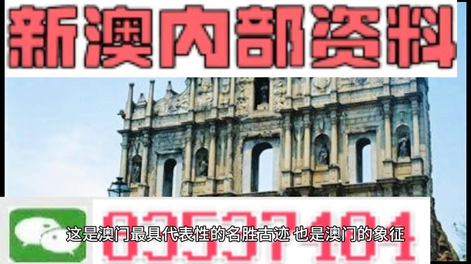 2024新澳精准正版资料,浏览深度解读_动态版24.313