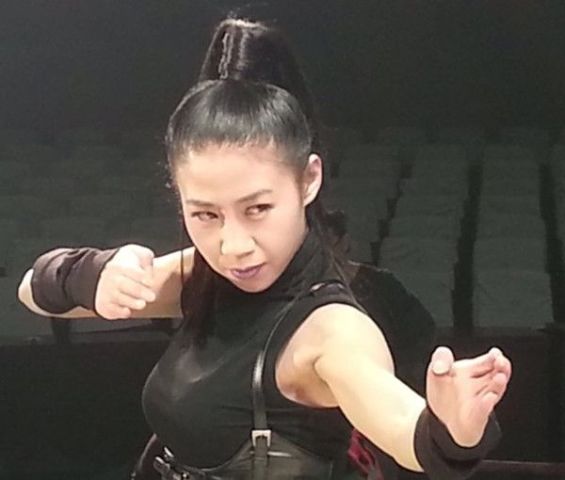 武术璀璨之星徐美玲，传承与演绎中华武术的传奇人物