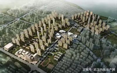 盘龙城领袖城最新房价信息，热门投资置业首选