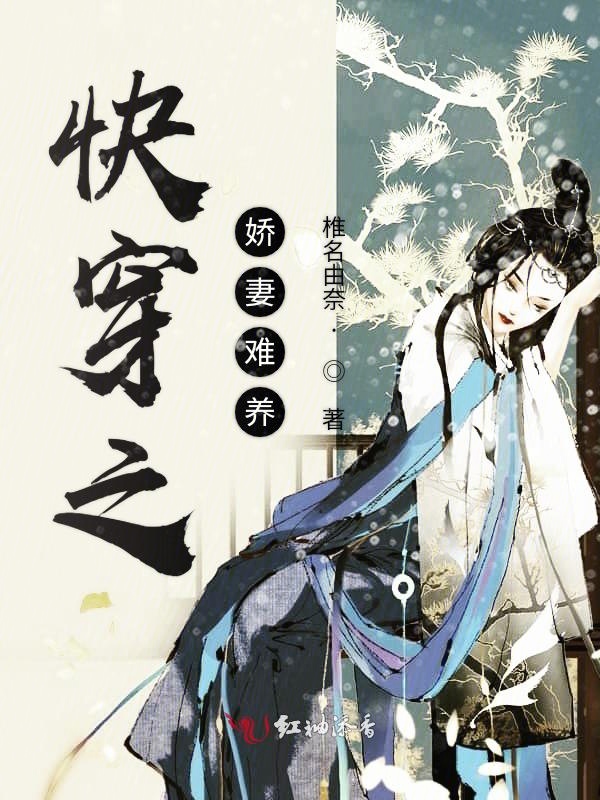 快穿之肉香新篇章，深度解析与观点阐述