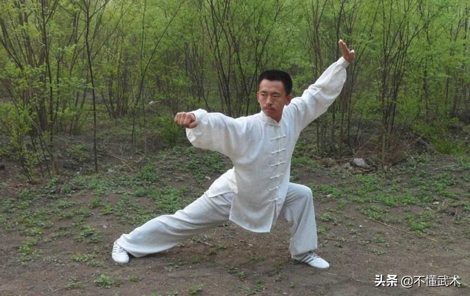 武术打假最新动态，自信与成就感的源泉，正能量与幽默共舞