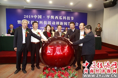 平舆新闻最新动态更新，平舆最新消息速递