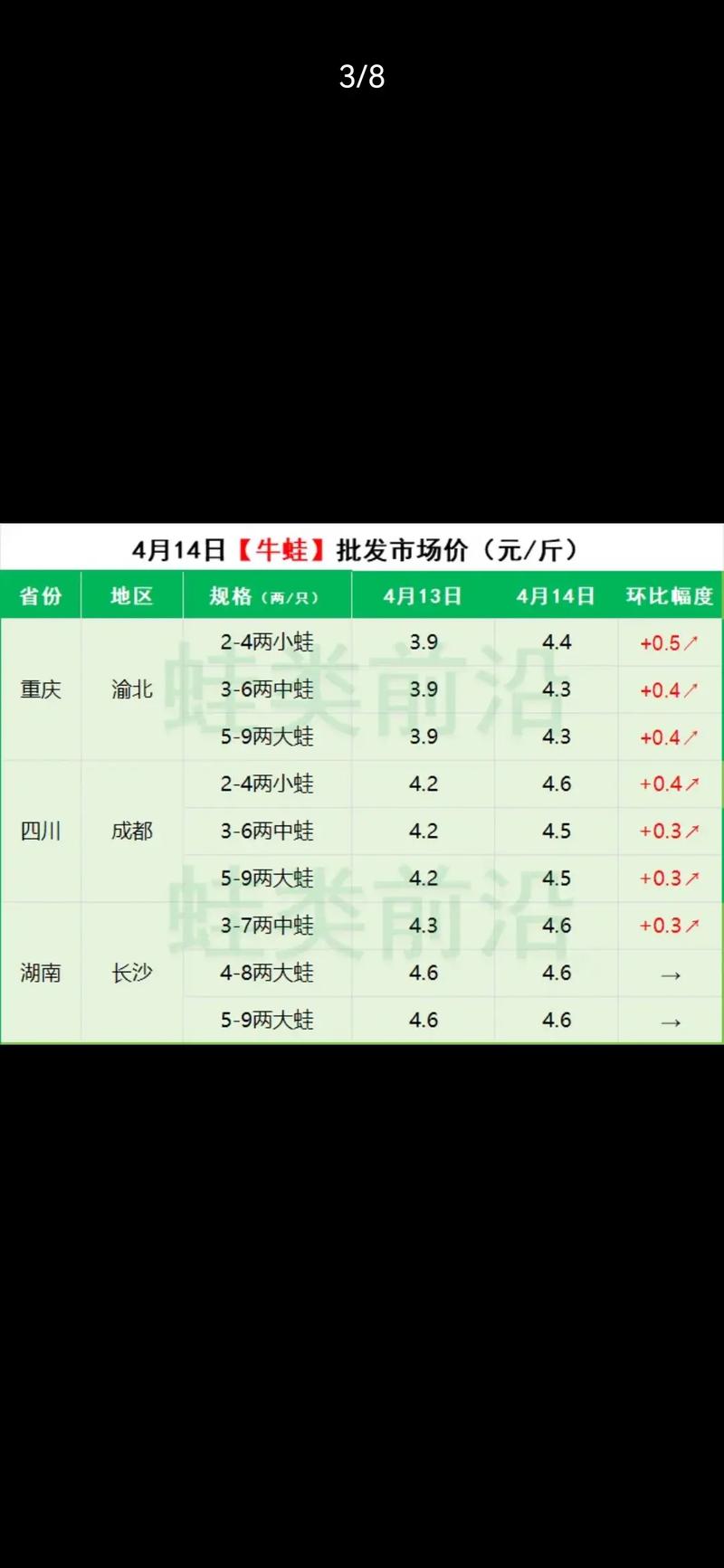 牛蛙市场最新价格行情及深度分析