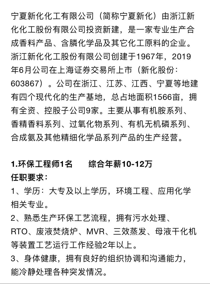 泰兴新浦化工最新招聘，小巷中的隐藏宝藏，探索职业新机遇！