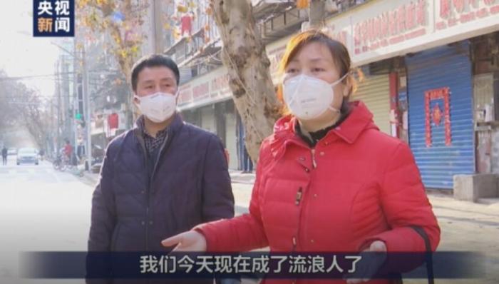 杨文轩灵宝道视频最新，自然美景之旅，探寻内心平和的旅程